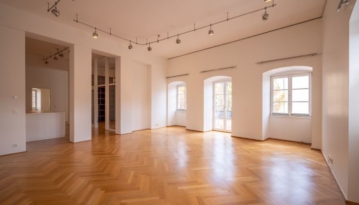 Urban palace for sale Mainz, Rhineland-Palatinate
