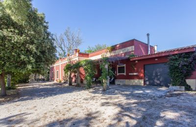 Historic estates, Country villa for sale in Francavilla Fontana with star vaults and one-hectare grounds