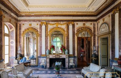 Castle for sale Angers, Pays de la Loire, Photo 6/10