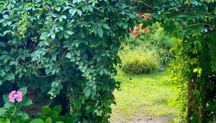 Country property for sale Charlottenburg-Wilmersdorf, Grunewald