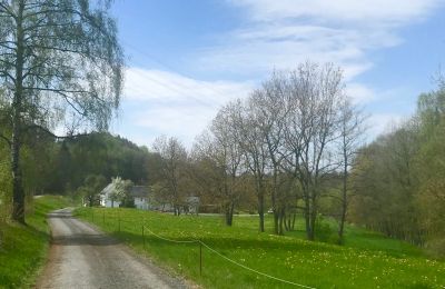 Historic property for sale 07907 Schleiz, Thuringia, Zufahrt