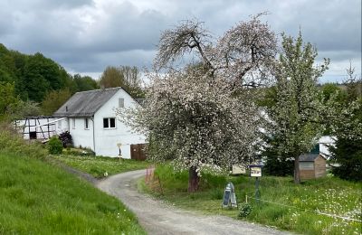 Historic property for sale 07907 Schleiz, Thuringia, Access