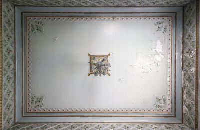 Period mansion for sale Craiova, Bd. Nicolae Titulescu 4, Dolj, Photo 5/43