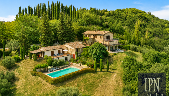  Montone 2