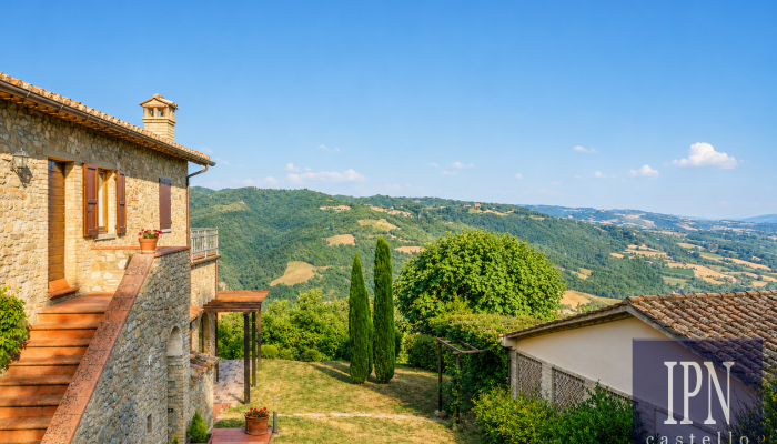  Montone 5