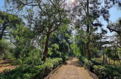Country home for sale Oria, Apulia, Photo 2/29