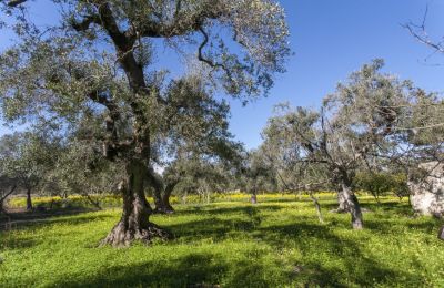 Country home for sale Oria, Apulia, Photo 22/29