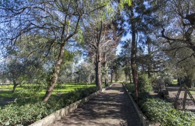 Country home for sale Oria, Apulia, Photo 23/29