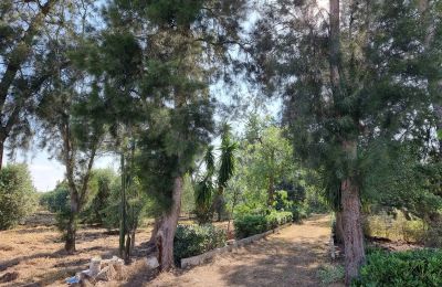 Country home for sale Oria, Apulia, Photo 24/29