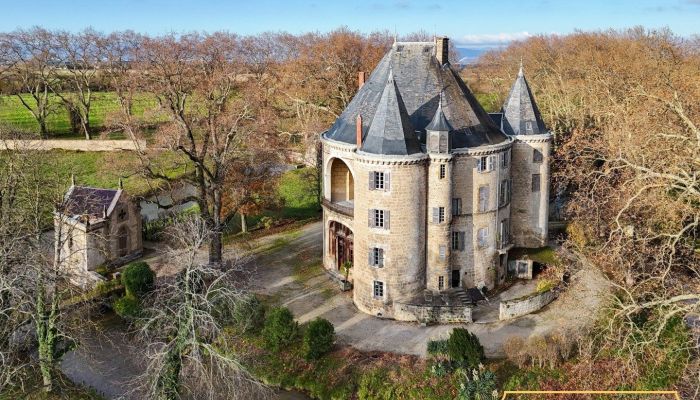 Medieval castle for sale Valence, Auvergne-Rhône-Alpes