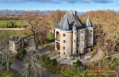 Medieval castle Valence, Auvergne-Rhône-Alpes