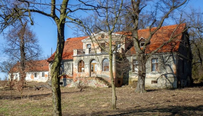 Manor house for sale Rogów Wołowski, Lower Silesia
