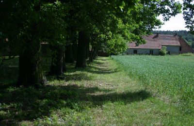 Manor house for sale Rogów Wołowski, Lower Silesia, Photo 20/25