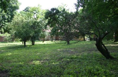 Manor house for sale Rogów Wołowski, Lower Silesia, Photo 19/25