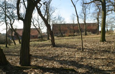 Manor house for sale Rogów Wołowski, Lower Silesia, Photo 10/25