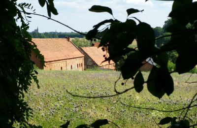 Manor house for sale Rogów Wołowski, Lower Silesia, Photo 6/25