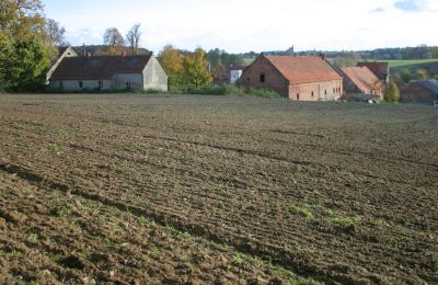Manor house for sale Rogów Wołowski, Lower Silesia, Photo 9/25