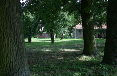 Manor house for sale Rogów Wołowski, Lower Silesia, Photo 21/25