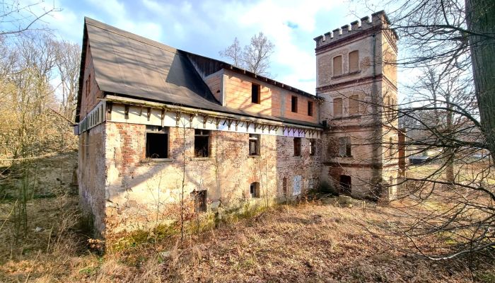 Period mansion for sale Staniszów, Lower Silesia