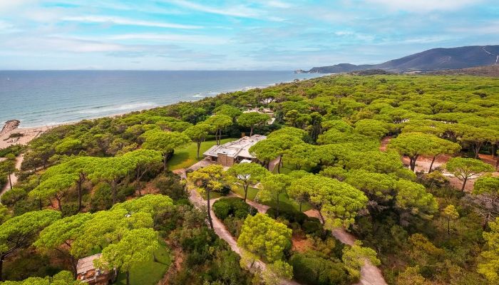 Seafront villa in Roccamare, Tuscany