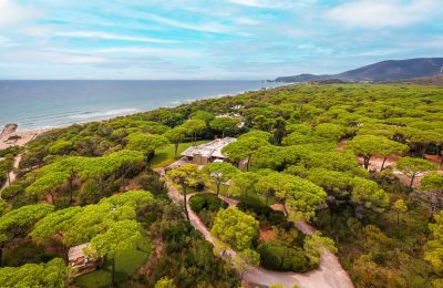 Historic estates, Seafront villa in Roccamare, Tuscany