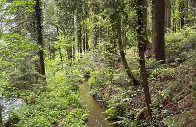 Country property for sale Styria, Photo 20/25