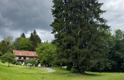Country property for sale Styria, Photo 5/25