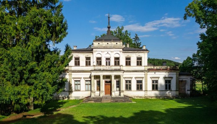 Neo-Renaissance palace with parklands near Krakow