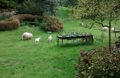Manor house for sale Lure, Rue Kleber 8, Burgundy-Franche-Comté, Photo 31/47