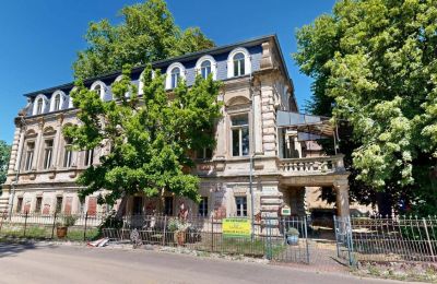 Manor house for sale Elsteraue, Bornitzer Weg 01, Saxony-Anhalt, Ein-Herrenhaus-mit-Seele-Geschichte-Charakter-und-auergewohnliche-Perspektiven (10)
