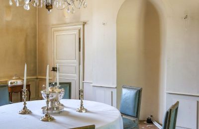 Castle for sale Chenonceaux, Centre-Loire Valley, Photo 13/20
