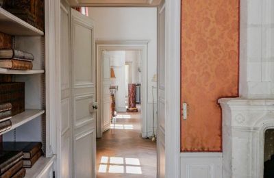 Castle for sale Chenonceaux, Centre-Loire Valley, Photo 11/20