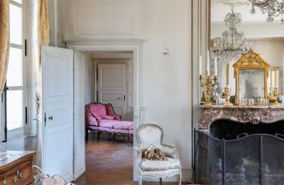 Castle for sale Chenonceaux, Centre-Loire Valley, Photo 7/20