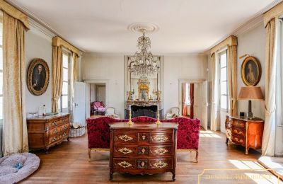 Castle for sale Chenonceaux, Centre-Loire Valley, Photo 6/20