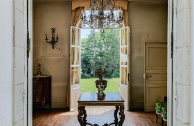 Castle for sale Chenonceaux, Centre-Loire Valley, Photo 5/20