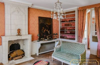 Castle for sale Chenonceaux, Centre-Loire Valley, Photo 10/20