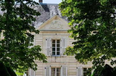 Castle for sale Chenonceaux, Centre-Loire Valley, Photo 3/20