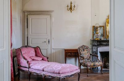 Castle for sale Chenonceaux, Centre-Loire Valley, Photo 8/20