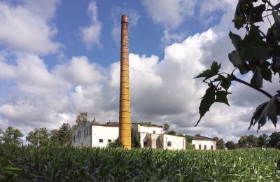 Historic property for sale Wioska, Kuyavia-Pomerania, Photo 1/19