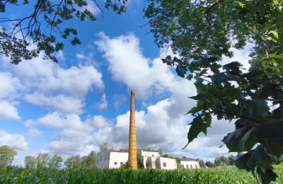 Historic property for sale Wioska, Kuyavia-Pomerania, Photo 15/19