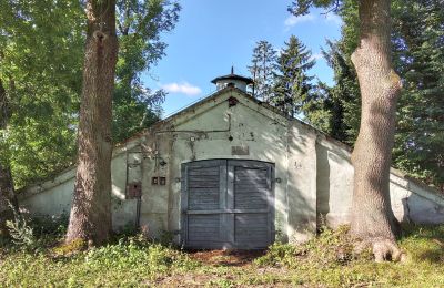 Historic property for sale Wioska, Kuyavia-Pomerania, Photo 3/19