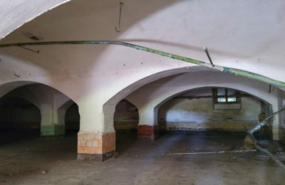 Historic property for sale Wioska, Kuyavia-Pomerania, Photo 9/19
