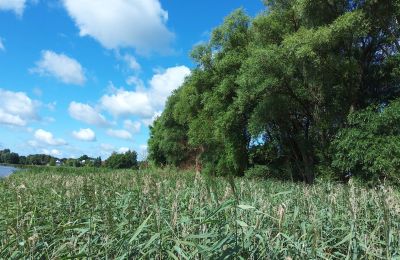 Historic property for sale Wioska, Kuyavia-Pomerania, Photo 17/19
