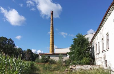 Historic property for sale Wioska, Kuyavia-Pomerania, Photo 14/19