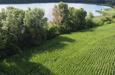 Historic property for sale Wioska, Kuyavia-Pomerania, Photo 19/19