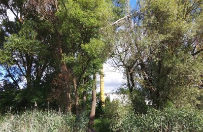 Historic property for sale Wioska, Kuyavia-Pomerania, Photo 18/19