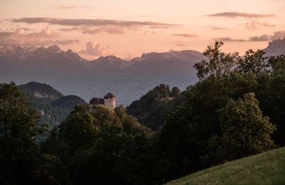 Castle for sale 6845 Hohenems, Vorarlberg, Photo 4/20
