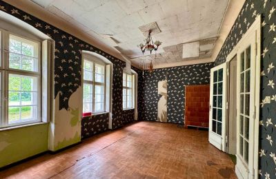 Manor house for sale Tarchalin, Greater Poland, Photo 16/24