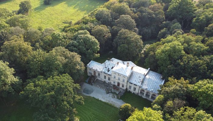 Manor house with park in a secluded location between Berlin and Poznań