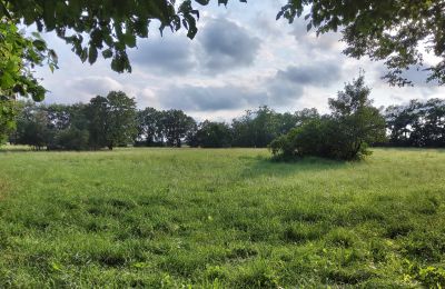 Manor house for sale Pakosław, Greater Poland, Photo 13/15